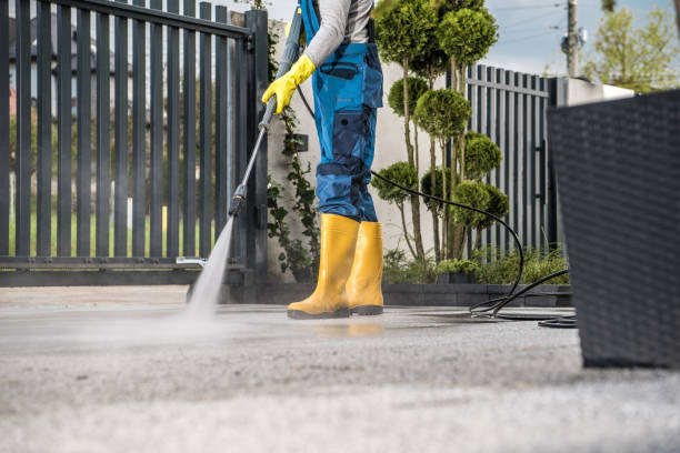 Best Solar Panel Cleaning  in Harrogate, TN